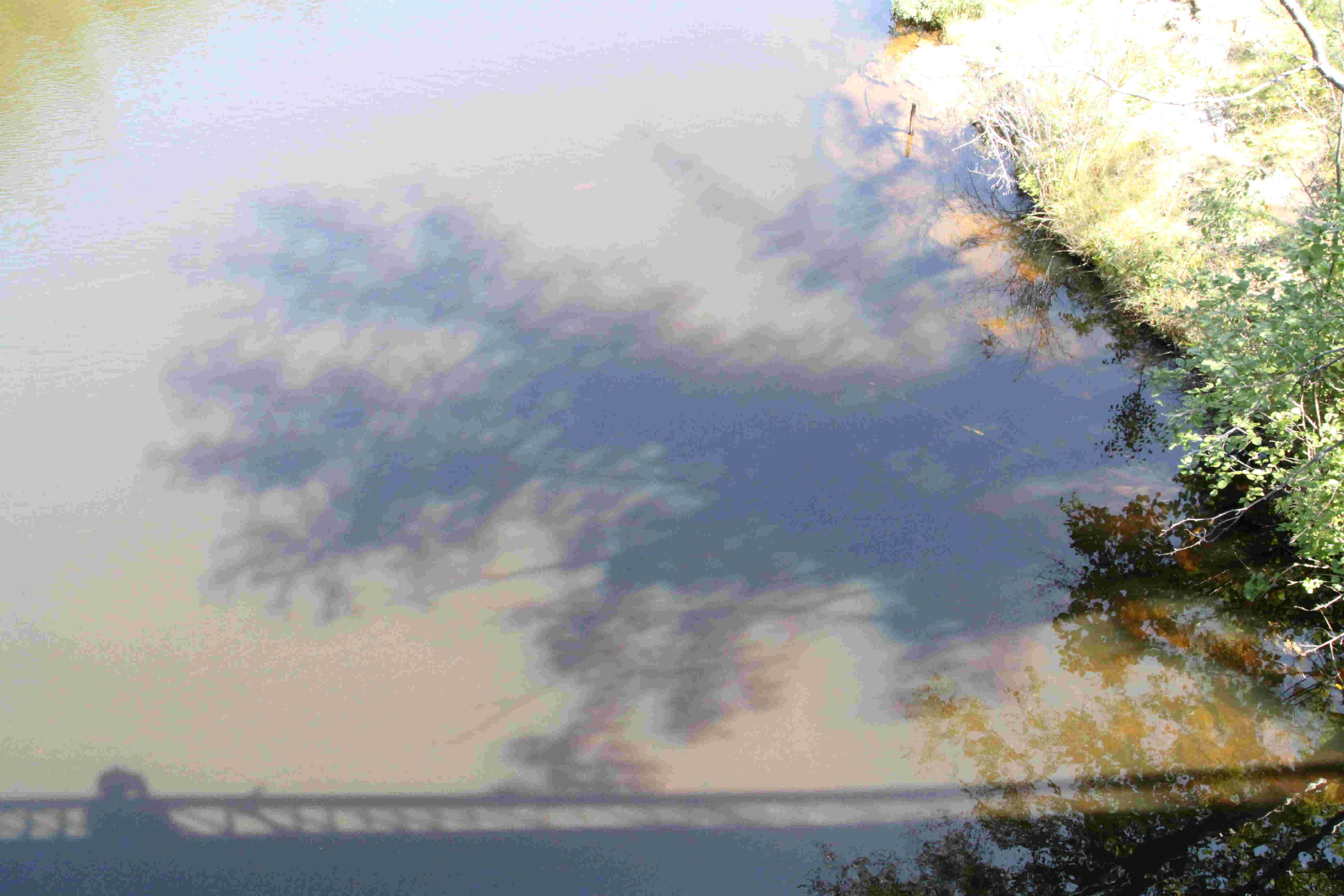 ObfuscationIMG_9716small.jpg