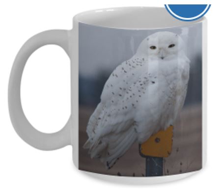 Mugs on Gearbubble