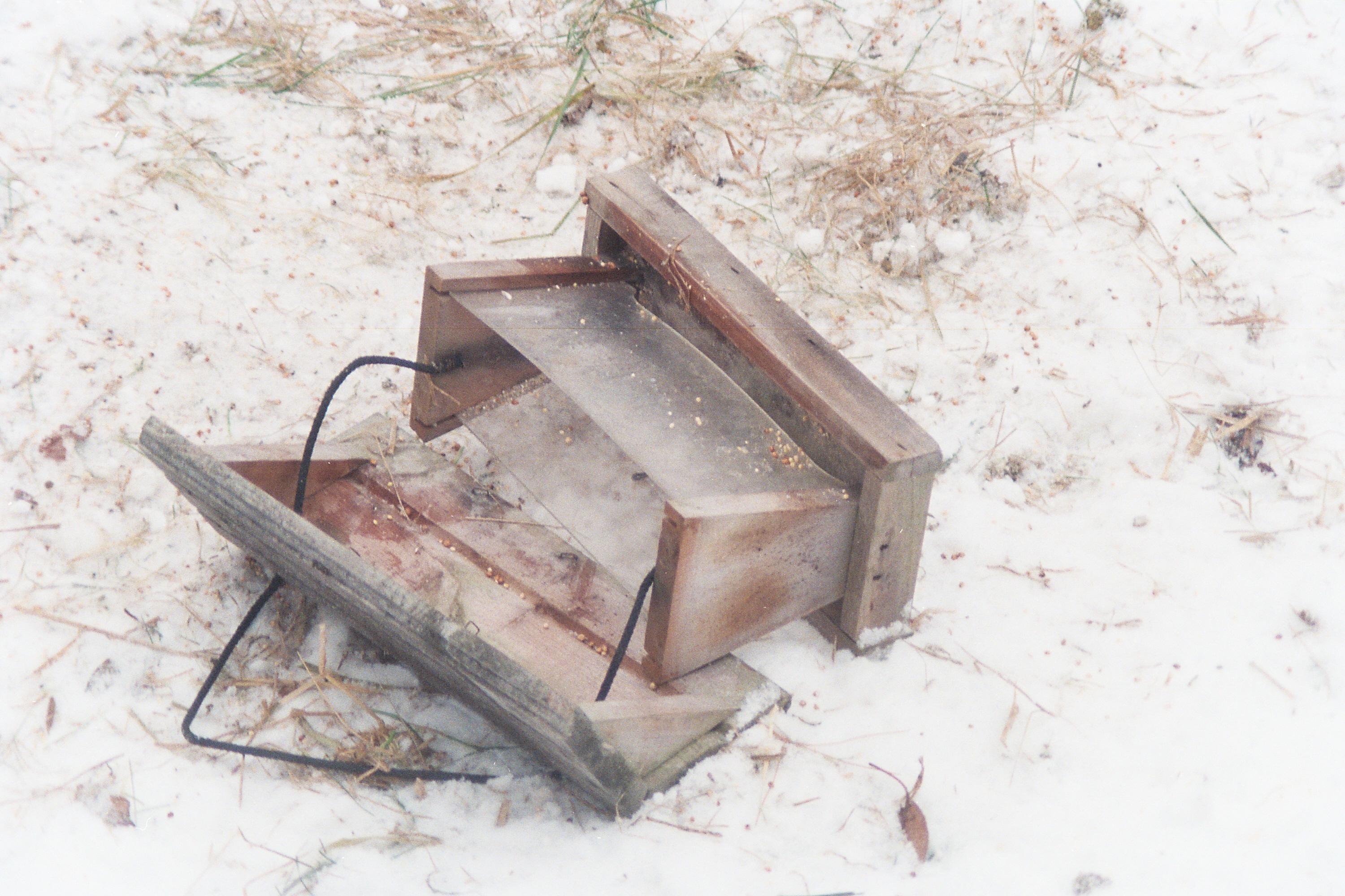 birdfeeder_2A_P.jpg